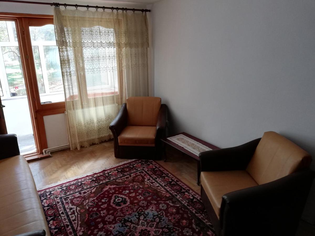 Appartement Valeria Apartament à Onesti Extérieur photo